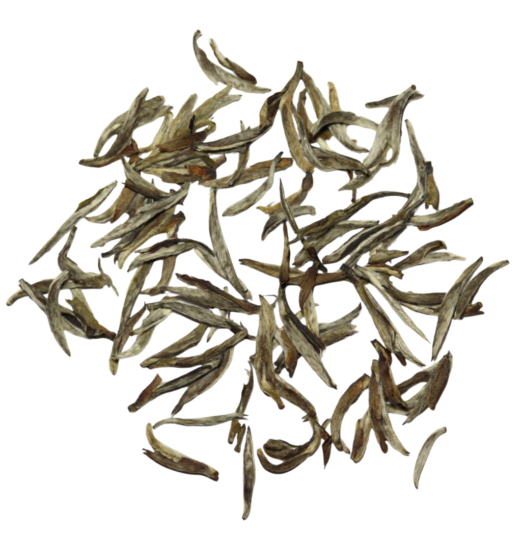 2016 Fuding Silver Needle White Tea